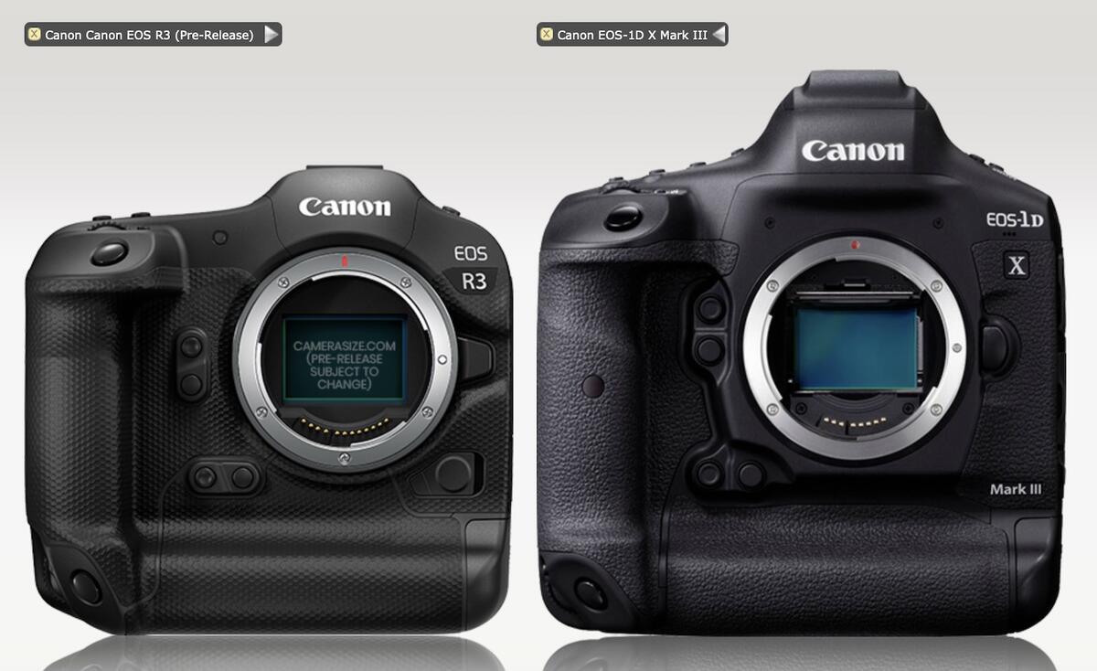 Fujifilm GFX 100S vs Canon EOS R5