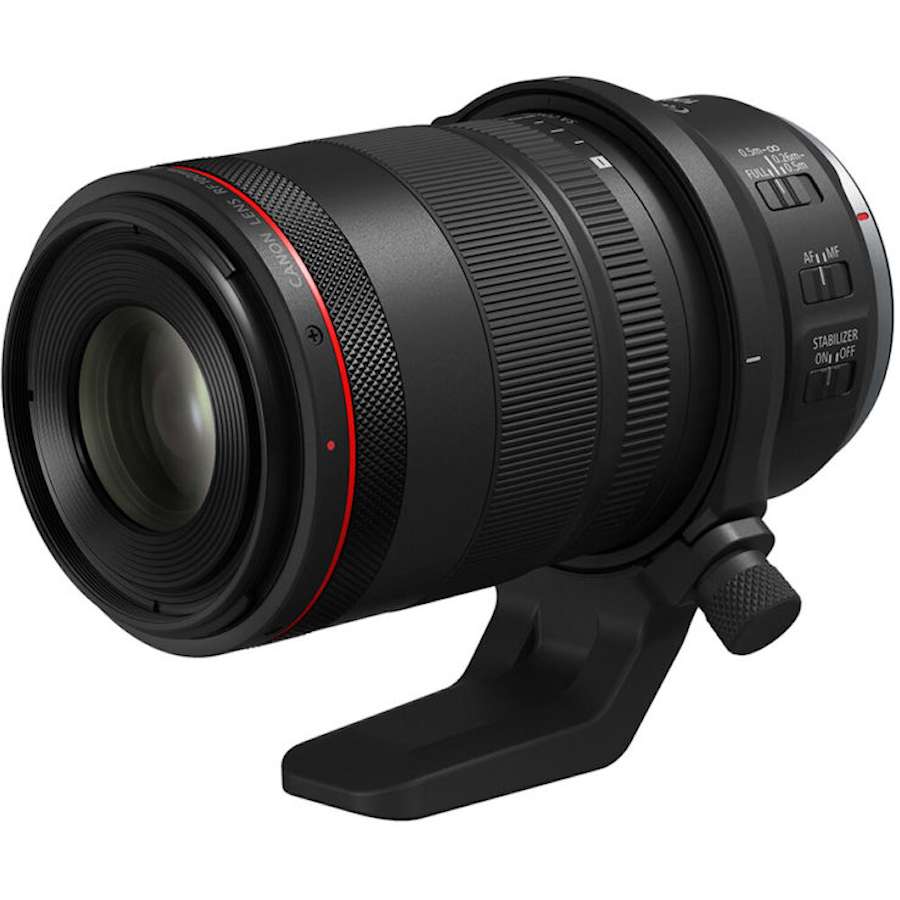 Canon RF 100mm f/2.8L IS Macro Review: “Great lens with some added Weirdness”