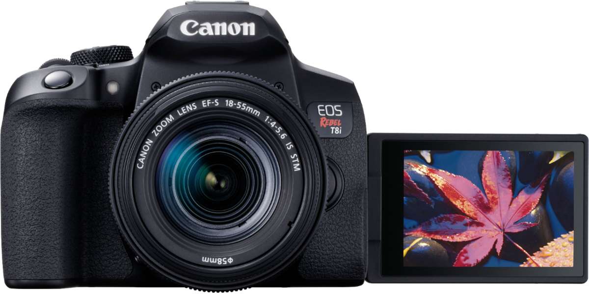 Best Lenses for Canon EOS Rebel T8i